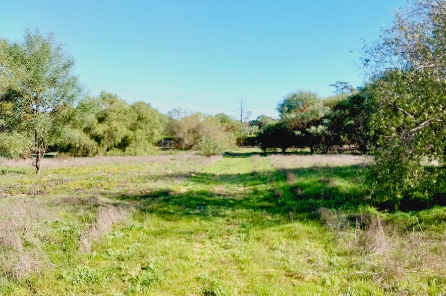 0 Bedroom Property for Sale in Tierfontein AH Western Cape